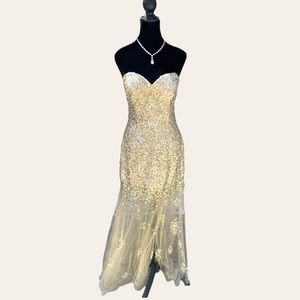 Cindellera Shimmer & Stone Mermaid Evening Gown
